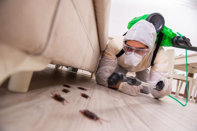 pest control treatment in Cleveland