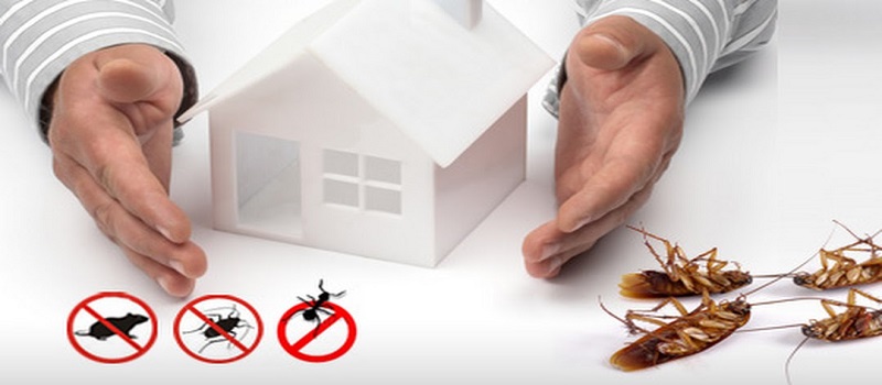 Know About Pest Control